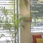Hotel Soho Boutique